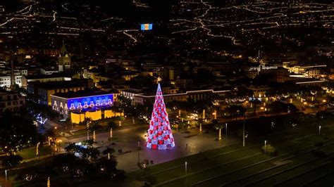 Funchal: Christmas Lights Guided Tuk-Tuk Tour | GetYourGuide