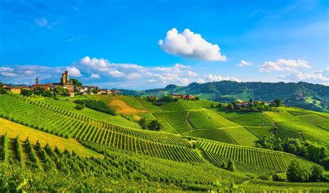 I Vini Delle Langhe Nebbiolo Barbaresco E Barolo Cantine Povero