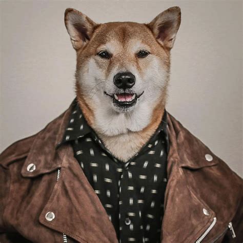 The 10 Best Dressed Dogs Of Instagram With Photos