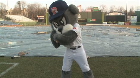 The many faces of Slugger, the Portland Sea Dogs mascot ...