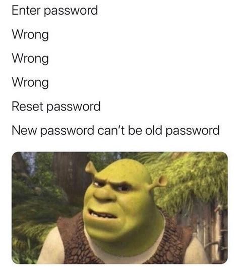 Enter Password Wrong Wrong Wrong Reset Password New Password Cant Be Old Password Funny