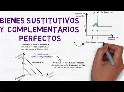 Bienes Sustitutos Y Complementarios Bienes Complementarios Los Bienes