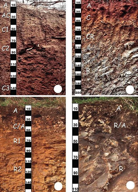 Four soil profiles from Brazil showing the solumsubsolum continuum: (a)... | Download Scientific ...