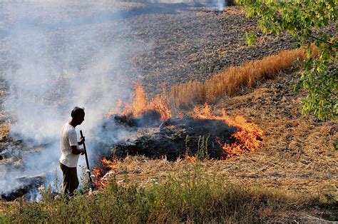 Supreme Court Grills Centre Over Stubble Burning In Punjab Haryana