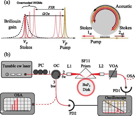 A Left Scheme Of A Brillouin Wgm Resonator In A Doubly Resonant