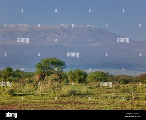 View On Mount Kilimanjaro With Clouds Cover On Its Peak From Amboseli