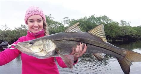 No Mar Profundo Nos Oceanos Rios E Lagos Peixes Crust Ceos Corais