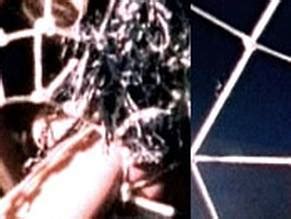 MARI COOKIE AND THE KILLER TARANTULA NUDE SCENES AZNude