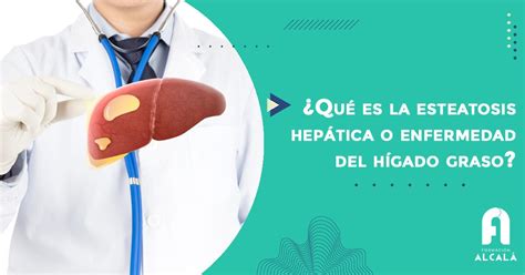 Qué es la esteatosis hepática o enfermedad del hígado graso