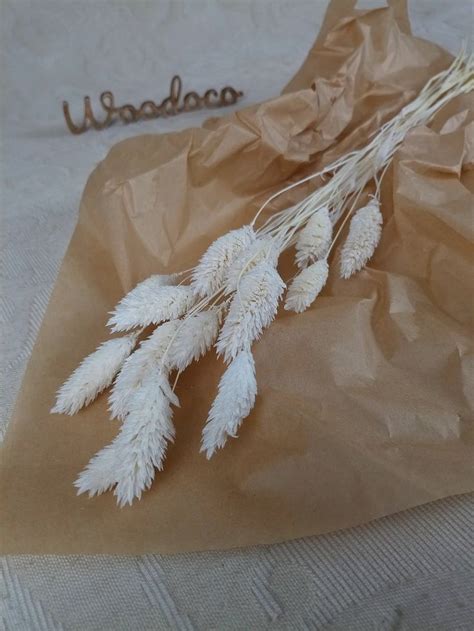 Dried Phalaris Bleached White Mini Etsy Uk Etsy Dried Flowers