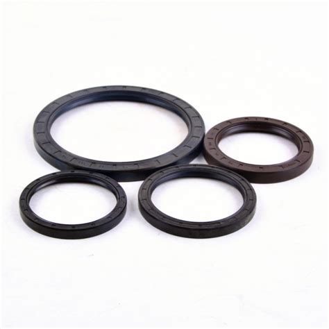 Good Price Engine NBR EPDM FKM Mechanical Double Lip Framework Oil Seal