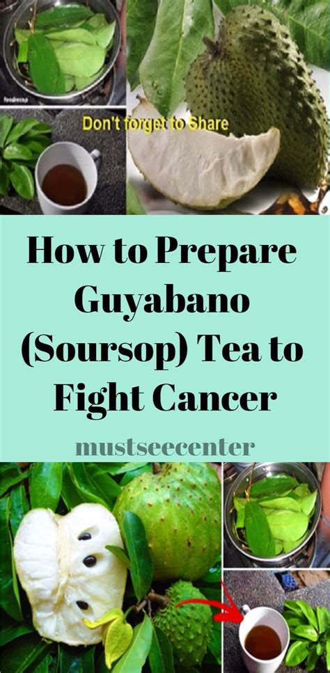 How To Prepare Guyabano Soursop Tea To Fight Cancer Must See Center