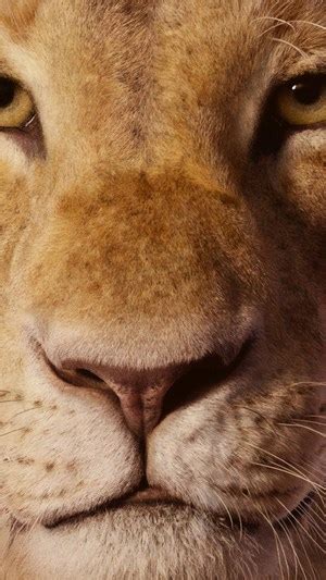 The Lion King 2019 Nala HD HD Phone Wallpaper Rare Gallery