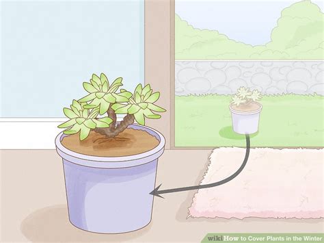 3 Easy Ways To Cover Plants In The Winter WikiHow Life