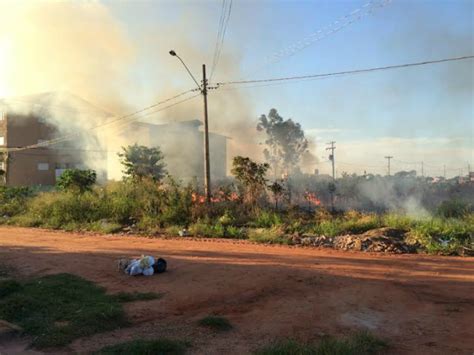 Fogo em lixo provoca incêndio em mata Conesul News