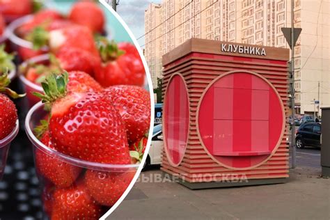 Где купить клубнику в Москве: в столице устанавливают розовые павильоны ...