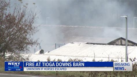 Barn Fire At Tioga Downs With Horses Inside Youtube