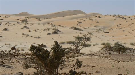 L Adrar Désert Adrar Mauritanie Routard