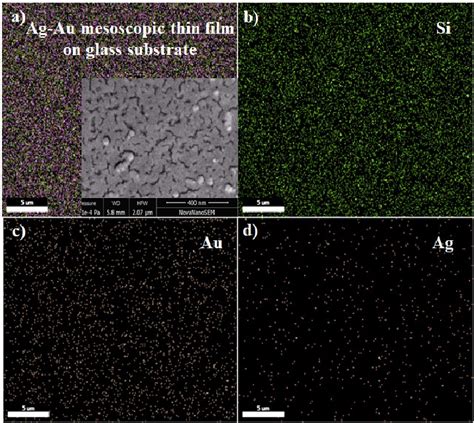 elemental mapping analysis  sem photographs  combinaed picture