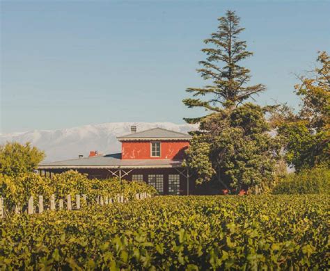 Monte Quieto Bodega De Familia Presenta Sus Nuevas Cosechas Al