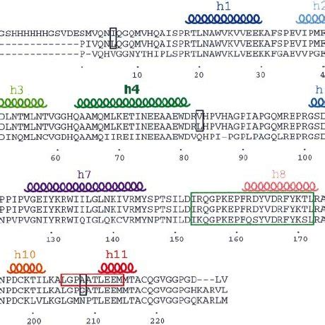Schematic Diagram Of The Mature HIV 1 Virion And The Organization Of