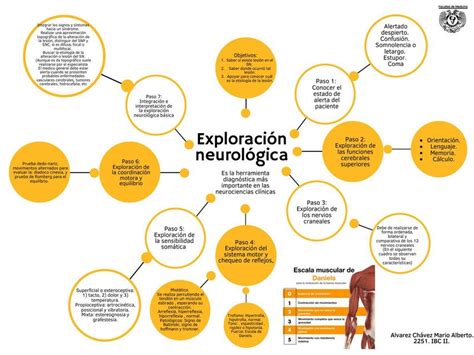 Puntos Clave de la Exploración Neurológica Mario Alberto Álvarez