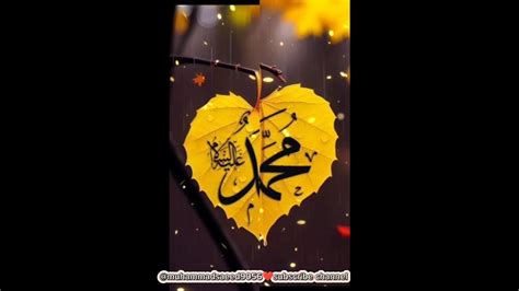 Nabi Pak Saw Ny Farmaya Islamicvideo Muhammadﷺ Foryou Youtube