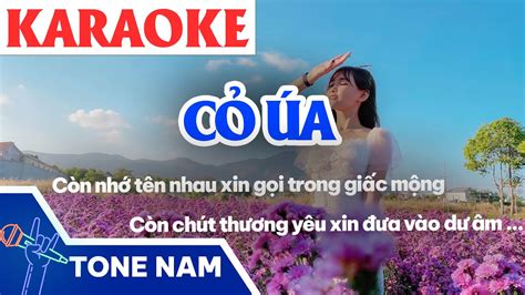 KARAOKE Cỏ Úa Beat Rumba Tone Nữ Karaoke Nhạc Sống Trữ Tình Dễ