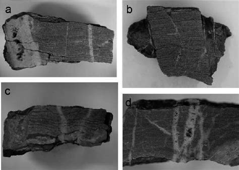 Hand Specimens Of Deformed Rocks A Vein Offshoot With Cavities And Download Scientific