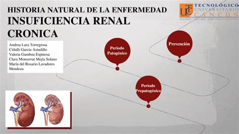 HISTORIA NATURAL INSUFICIENCIA RENAL By Cristina Manzo On Prezi