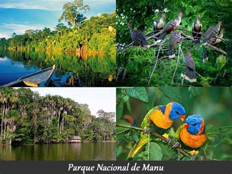 PERÚ MARAVILLAS MISTERIOS Y COSTUMBRES PARQUE NACIONAL DEL MANU