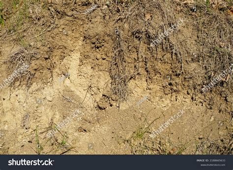 Crosssection Soil Texture Layers Earth Stock Photo 2188665633 ...