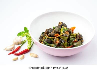 Freshwater Snail In Thailand Stock Photos Images Shutterstock