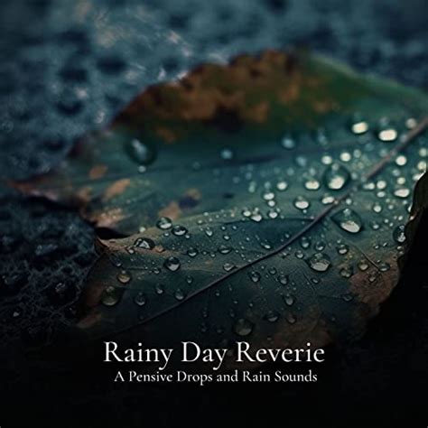 Couter Rainy Day Reverie A Pensive Drops And Rain Sounds De Rain