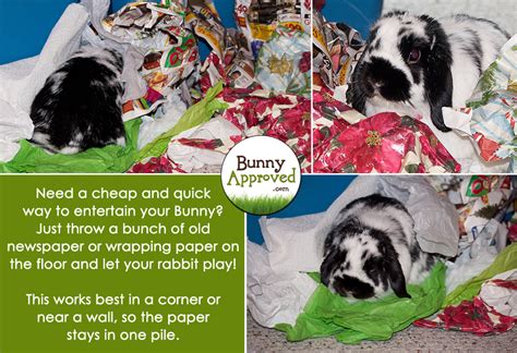 DIY Rabbit Toy Ideas Bunny Approved House Rabbit Toys Snacks And