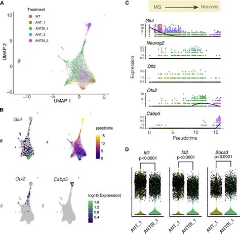 Pseudo Time Analysis Of Scrna Seq Datasets A Umap Plot From Monocle