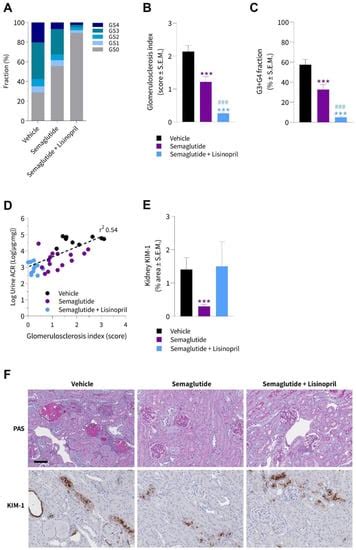 Biomedicines Free Full Text Nephroprotective Effects Of Semaglutide