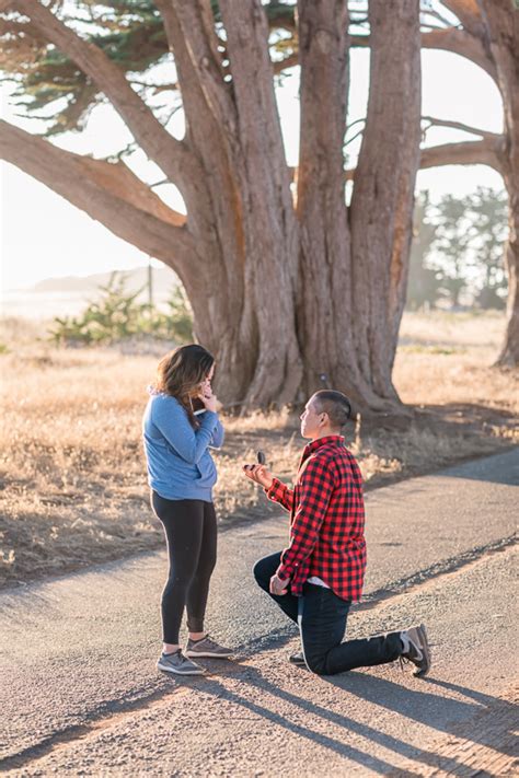 Cypress Tree Tunnel Sunset Proposal