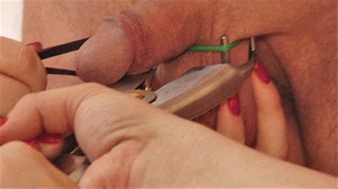 Elastrator Cbt Wmv Hd1280x720 Pain Emporium Clips4sale