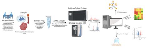 Proteomics Platform