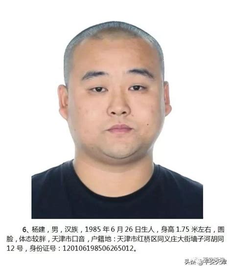 权威发布丨第二批悬赏通缉9名涉黑恶在逃人员又有2人到案 每日头条