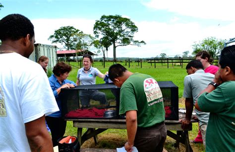 A Day with Belize Wildlife & Referral Clinic