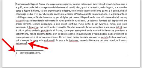 Come Inserire Le Note A Pi Di Pagina In Un Documento