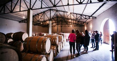 Et Cetera - Winery in Stefan Voda | Winetourism.com