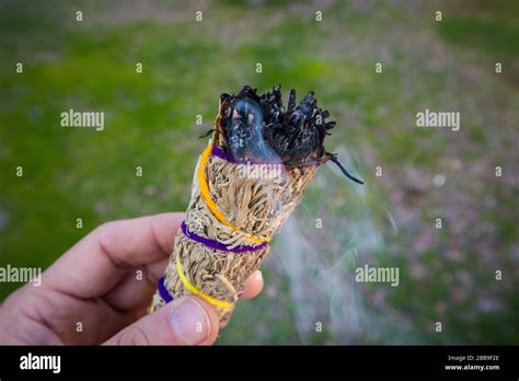 Hand Holding Sage performing Smudging Ritual Stock Photo - Alamy