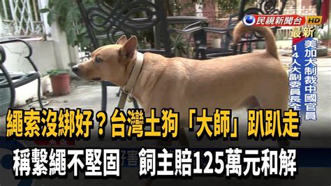 狗沒綁好女害騎士摔死 飼主賠125萬元和解－民視新聞 Youtube