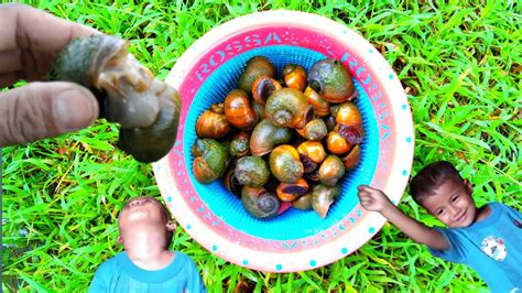 SNILE HUNTING Mencari Dan Menemukan Keong Bekicot Emas Siput