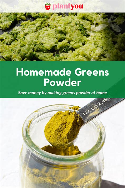 Homemade Greens Powder - PlantYou