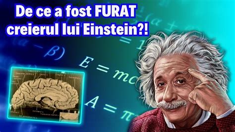 De Ce A Fost Furat Creierul Lui Einstein Cum A Ajuns Subiect De