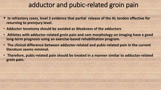 Groin Injuries In Athletes PPT